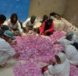 private 4 days desert tour from Fes to Merzouga and Marrakech,adventure Fes 4x4 trip to Sahara and Marrakech